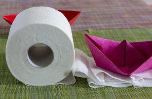 toilet paper thickness