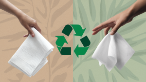 Tissue vs. Paper Towels: Which Is More Sustainable?