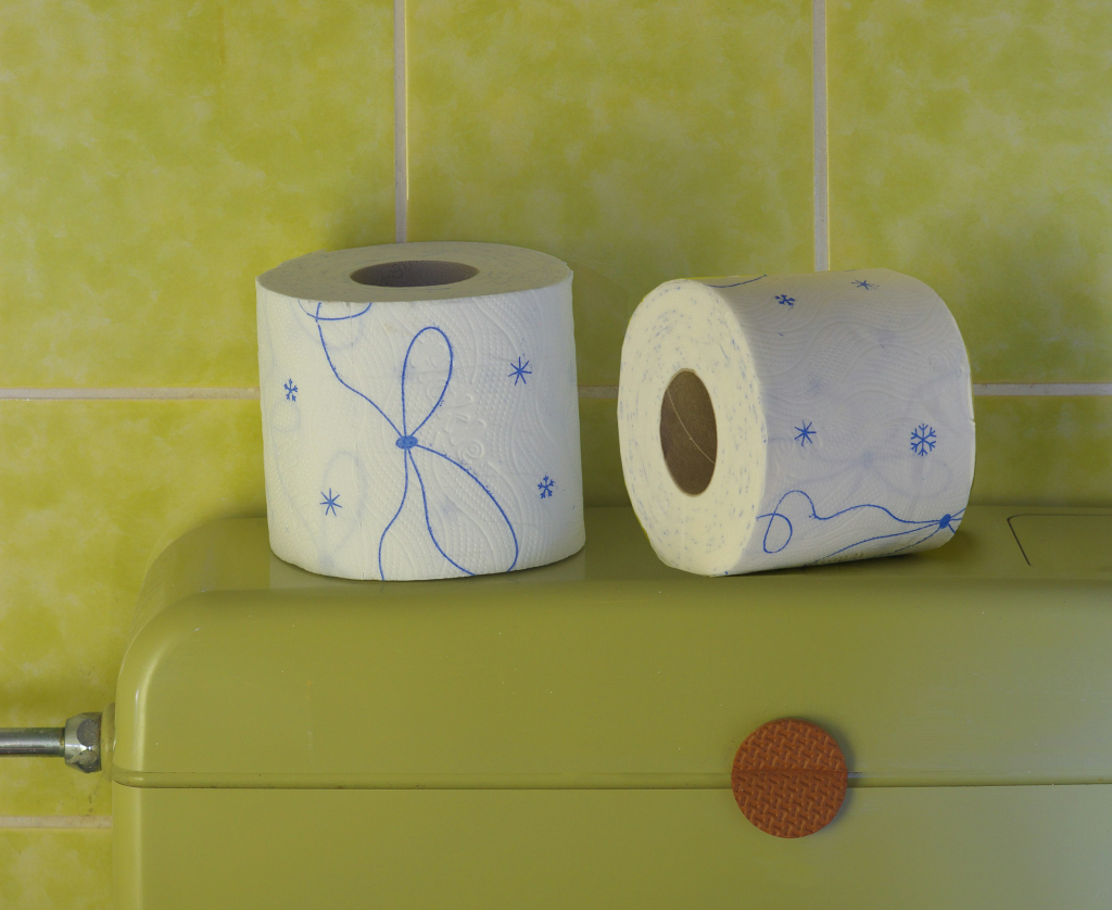 A Brief History of Toilet Paper