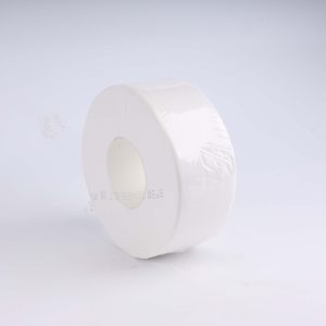 Jumbo Roll Toilet Paper