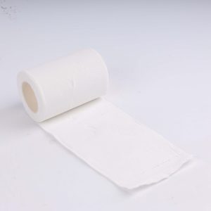 Toilet Paper Roll