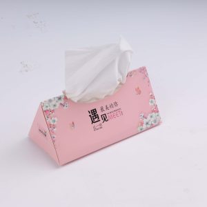 Triangular Facial Tissues