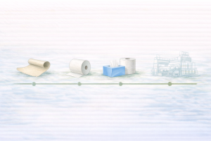 tissue paper timeline