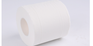 best of toilet paper