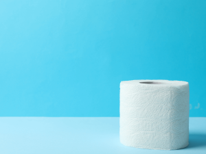 best rv toilet paper