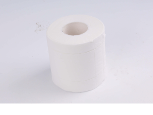 circumference of toilet paper tube