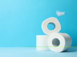 toilet paper storage