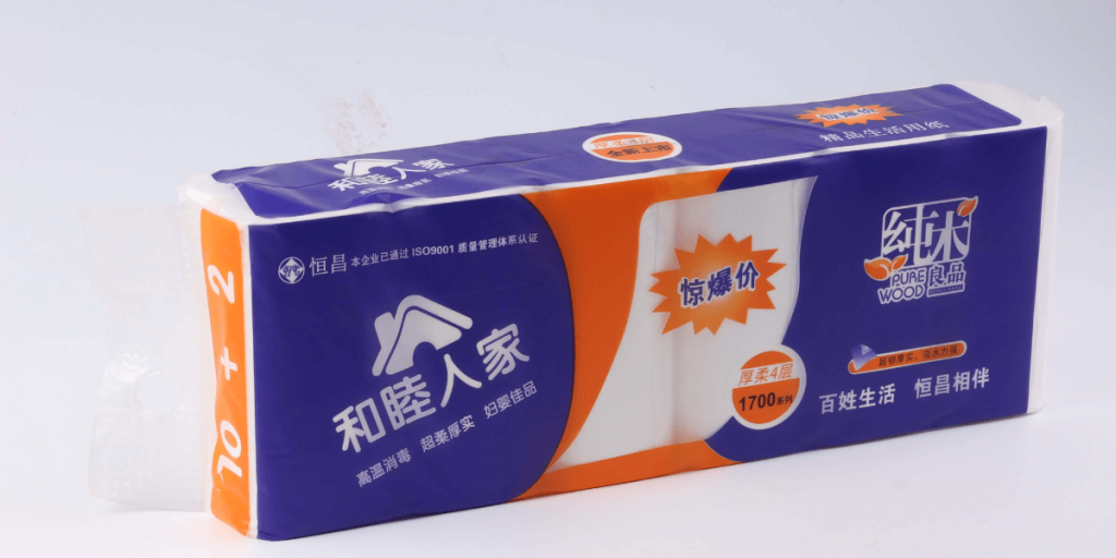 what did people use before toilet paper