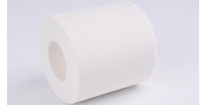 why do dogs eat toilet paper